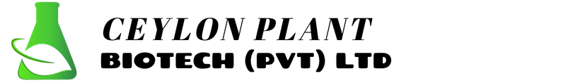 untitled design (2)